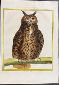 Martinet & Buffon - Great Horned Owl. 435