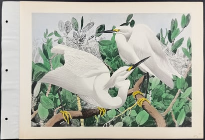 Brasher - Snowy Egret. 197