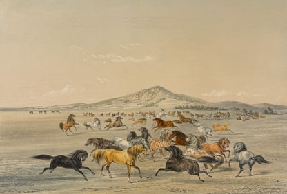Catlin, Folio - Wild Horses, At Play