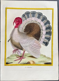 Martinet & Buffon - Turkey. 97