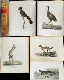 White's Voyage to New South Wales - Volume with 65 Engravings & 1 Map