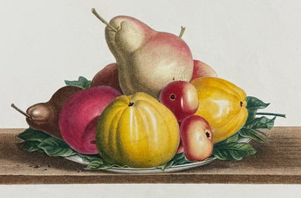 Prevost - Plate of Pears, Apples, Quince (Assiette de Bon-Chretien, Calville blanc, Pomme-rose, Api