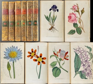 Curtis's Botanical Magazine - First 17 Volumes (Bound in 6) with 643 Engravings