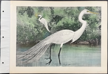 Brasher - Egret. 196