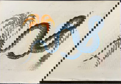 Catesby, First Ed - Wampum Snake with Red Lily (Catesby?s Lily)