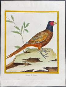 Martinet & Buffon - Pheasant. 121