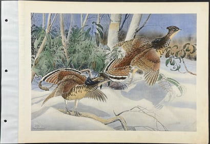 Brasher - Ruffed Grouse. 300