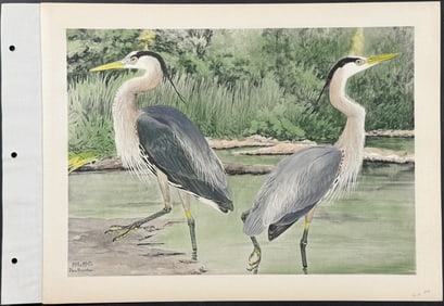 Brasher - Northwest Coast Heron & Ward Heron. 194a-b