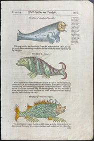 Pare, pub. 1664 - Sea Monsters