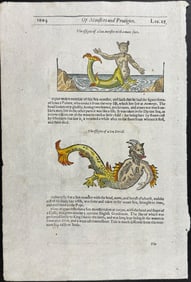 Pare, pub. 1664 - Mermaid, Mermen