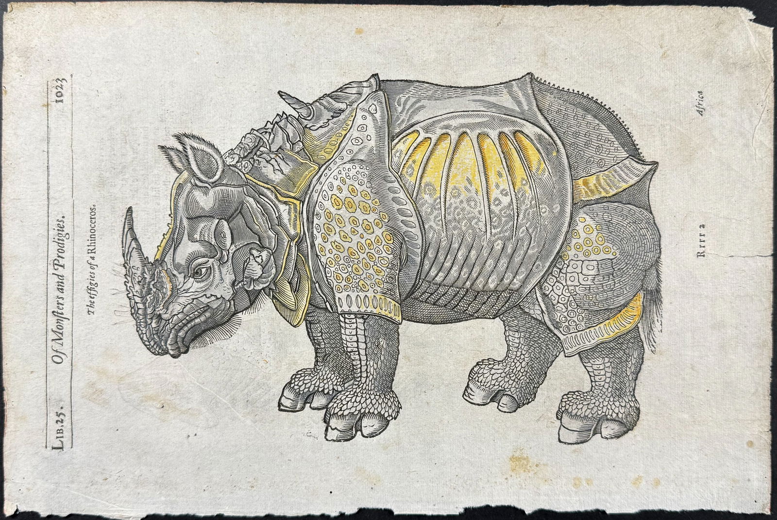 Pare, pub. 1664 - Rhinoceros after Albrecht Durer: This historic engraving is from Ambroise Pare's Les OEuvres... This is from the twelfth edition, revised and corrected, and was published in Lyon by Pierre Riguad et Antoine Jullieron in 1664. The edi