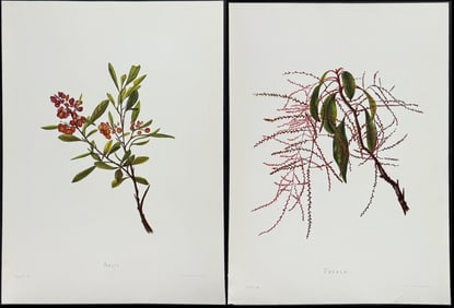 Sinclair - 6 Hawaiian Flower Prints