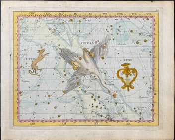 Bode - Constellation Chart: Swan (Cygnus), Lyre (Lyra). 11