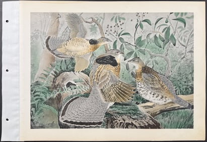 Brasher - Canada & Gray Ruffed Grouse. 300a-b