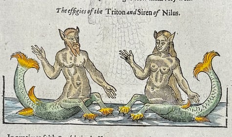 Pare, pub. 1664 - Mermaid & Merman