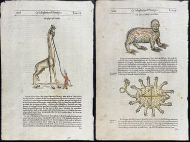 Pare, pub. 1664 - 3 Engravings of Giraffe & Animal Monstrosities