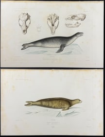 Dumont - Pair of Seal Engravings