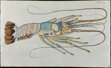 Herbst - Crustacean. 32