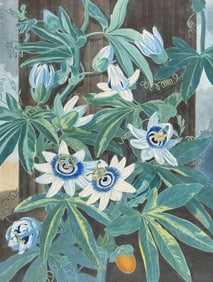 Thornton, Folio - The Blue Passion Flower