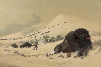 Catlin, Folio, On Card - Dying Buffalo Bull, In Snow Drift