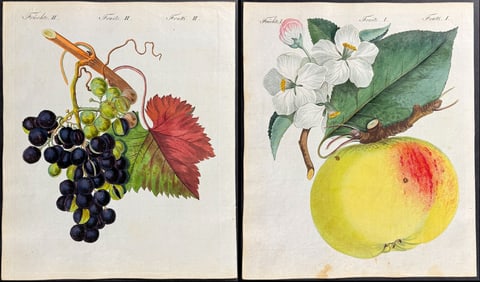 Bertuch - Pair of Fruit Engravings (Grapes, Apple)