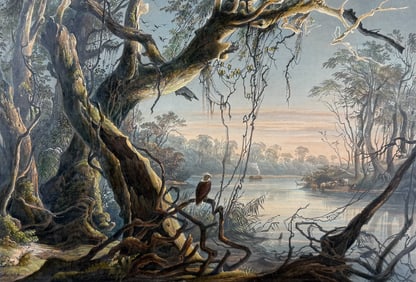 Karl Bodmer - Mouth of the Fox River (Indiana). 5