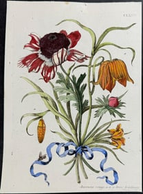 Merian - Anemone, Fritillary, & Bee. 176