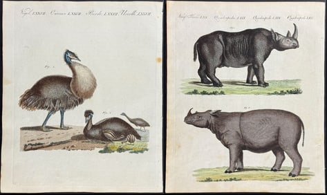 Bertuch - 4 Natural History Engravings (Rhinoceros, Kangaroo, Wombat, Cassowary)