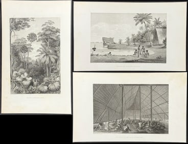 Wilkes - 7 Exploration Engravings