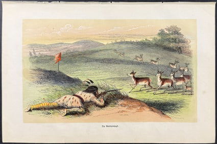 Catlin - Antelope Shooting