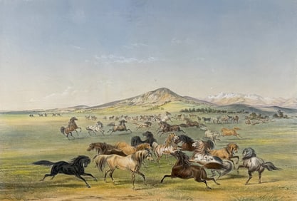 Catlin, Folio, On Card - Wild Horses, At Play