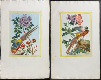 Buchoz - Pair of Poppy & Pheasant Engravings