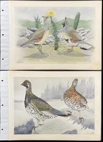 Brasher - 8 Grouse & Quail Prints