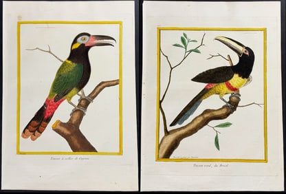 Martinet - Pair of Toucan Engravings