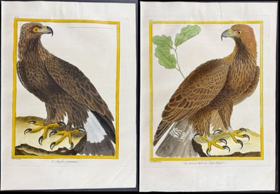 Martinet - Pair of Eagle Engravings