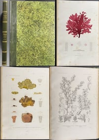Dumont's Voyage au Pole Sud - Volume with 66 Botany Engravings