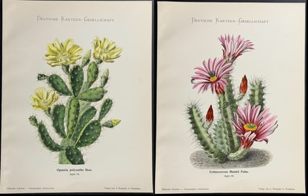 Schumann - 4 Cactus Prints