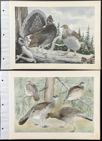 Brasher - Pair of Grouse Prints