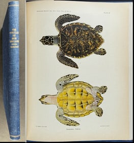 Babcock's The Turtles of New England - Volume with 16 Plates