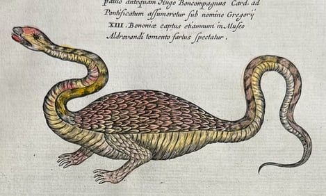 Kircher, pub. 1682 - Dragon