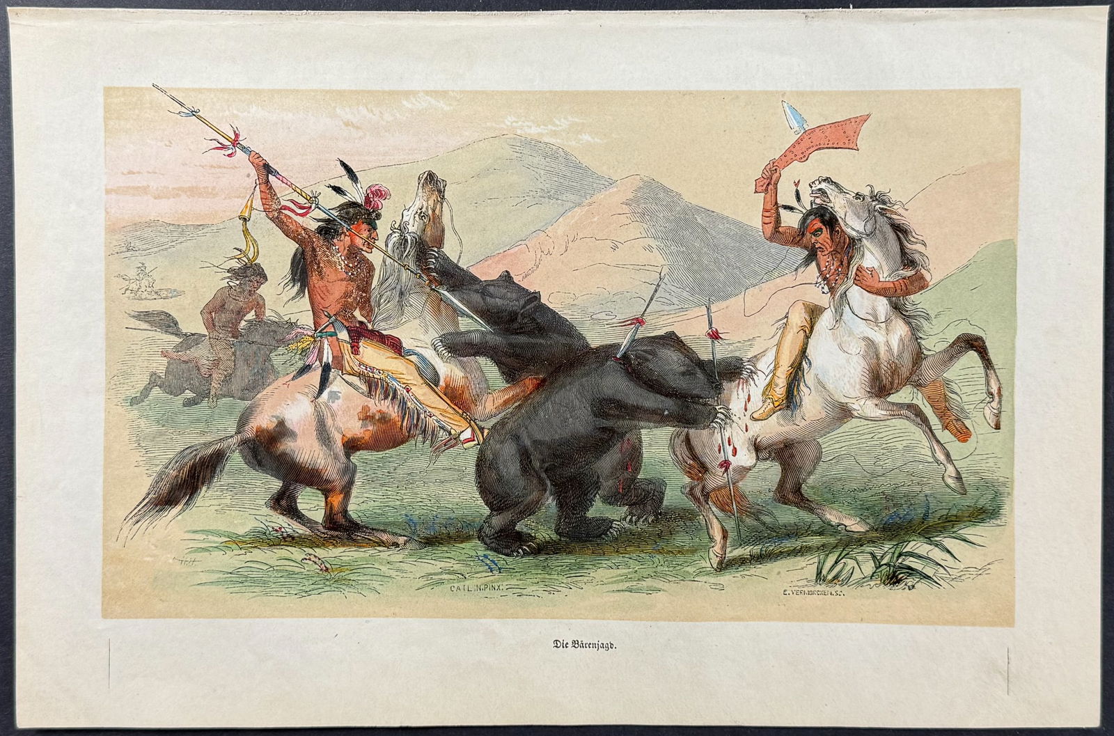 Catlin - Attacking the Grizzly Bear (1 of 1)