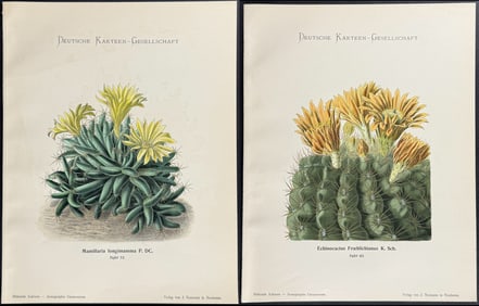Schumann - 6 Cactus Prints