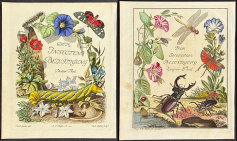 Roesel - Pair of Frontispiece Engravings