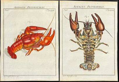 Roesel - 4 Lobster Engravings