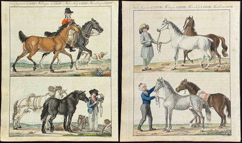 Bertuch - 6 Equestrian Engravings (Horses & Trainers)