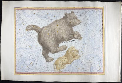 Bode, Elephant Folio - Constellation Chart: Ursa Major (Great Bear), Leo Minor (Lion)