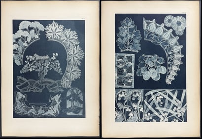 Mucha, Folio - Pair of Lithographs of Floral Design or Motif