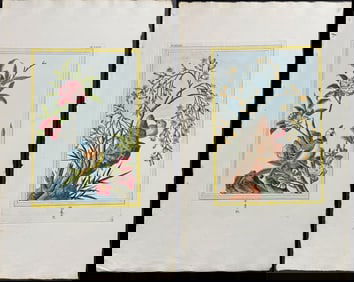 Buchoz - Pair of Bird & Botanical Engravings