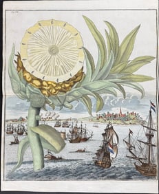 Volckamer - Pineapple & Ships. 220