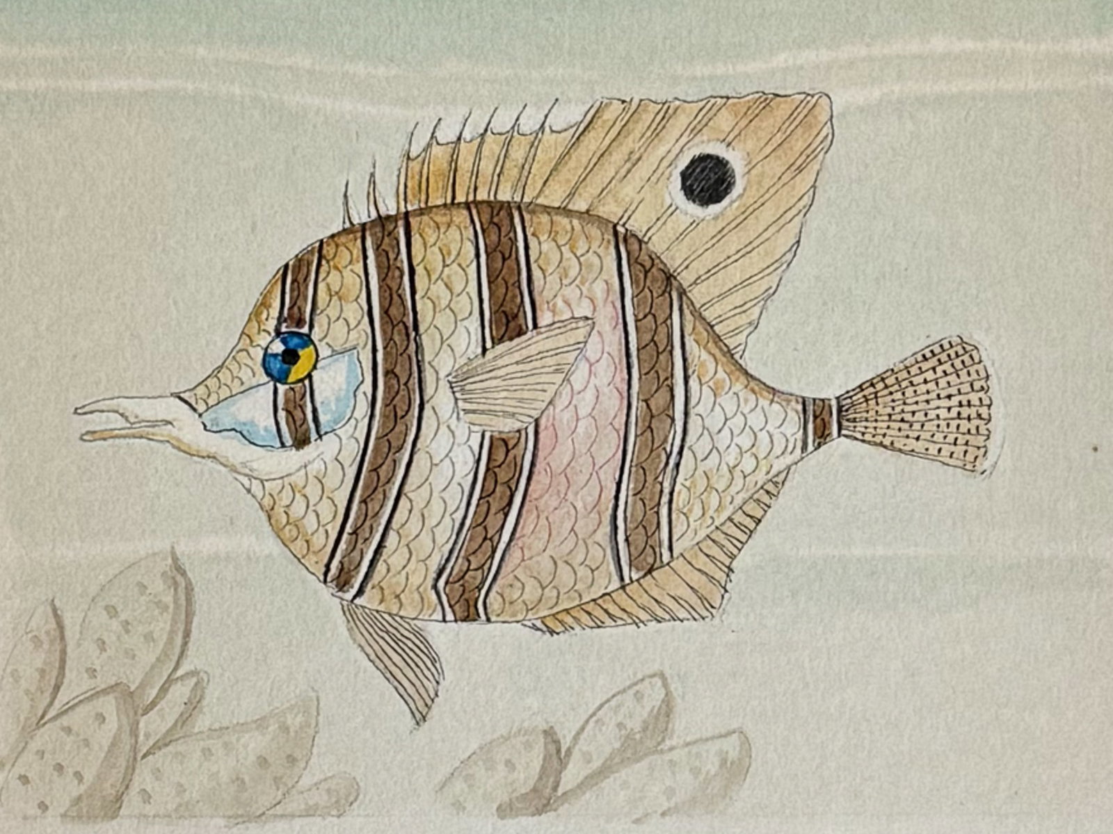 Original Watercolor of Copperband Butterflyfish [Chetmon rostratus]: This lovely original watercolor was done in Denmark between 1890 and 1893. The manuscript was authored and illustrated by by J. P. Nyborg. The watercolors were originally bound with hand-written title